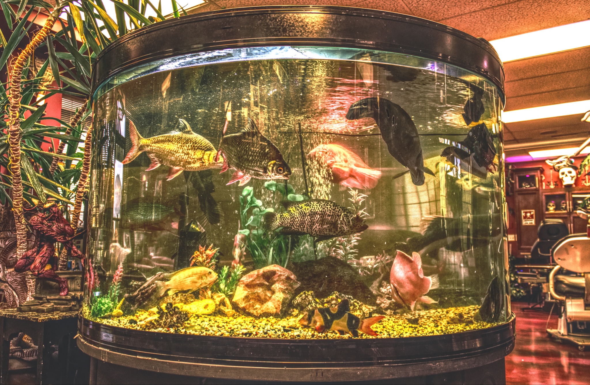 Incendiary About Us bottom pic