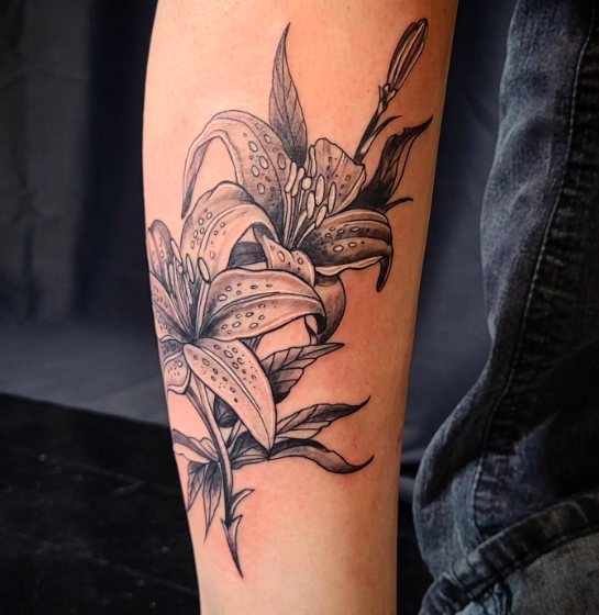 Screen Shot 2024-03-15 at 10.53.31 PM