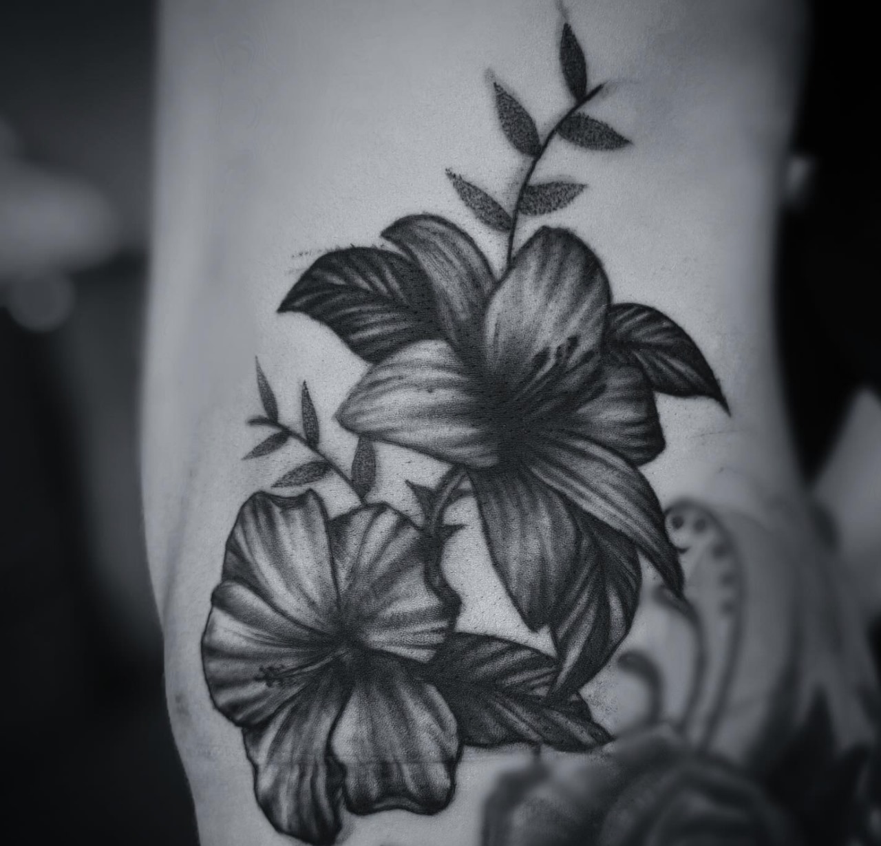 WhatsApp Image 2024-11-09 at 19.35.11_291e7081