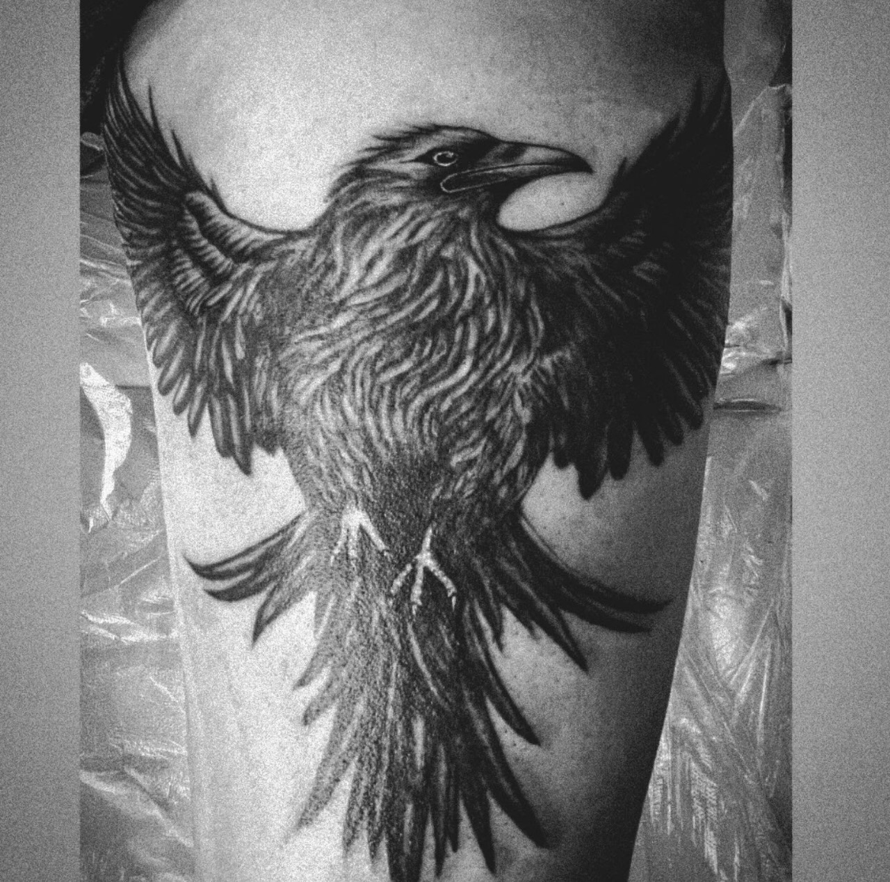 WhatsApp Image 2024-11-09 at 19.35.12_d6a5183a